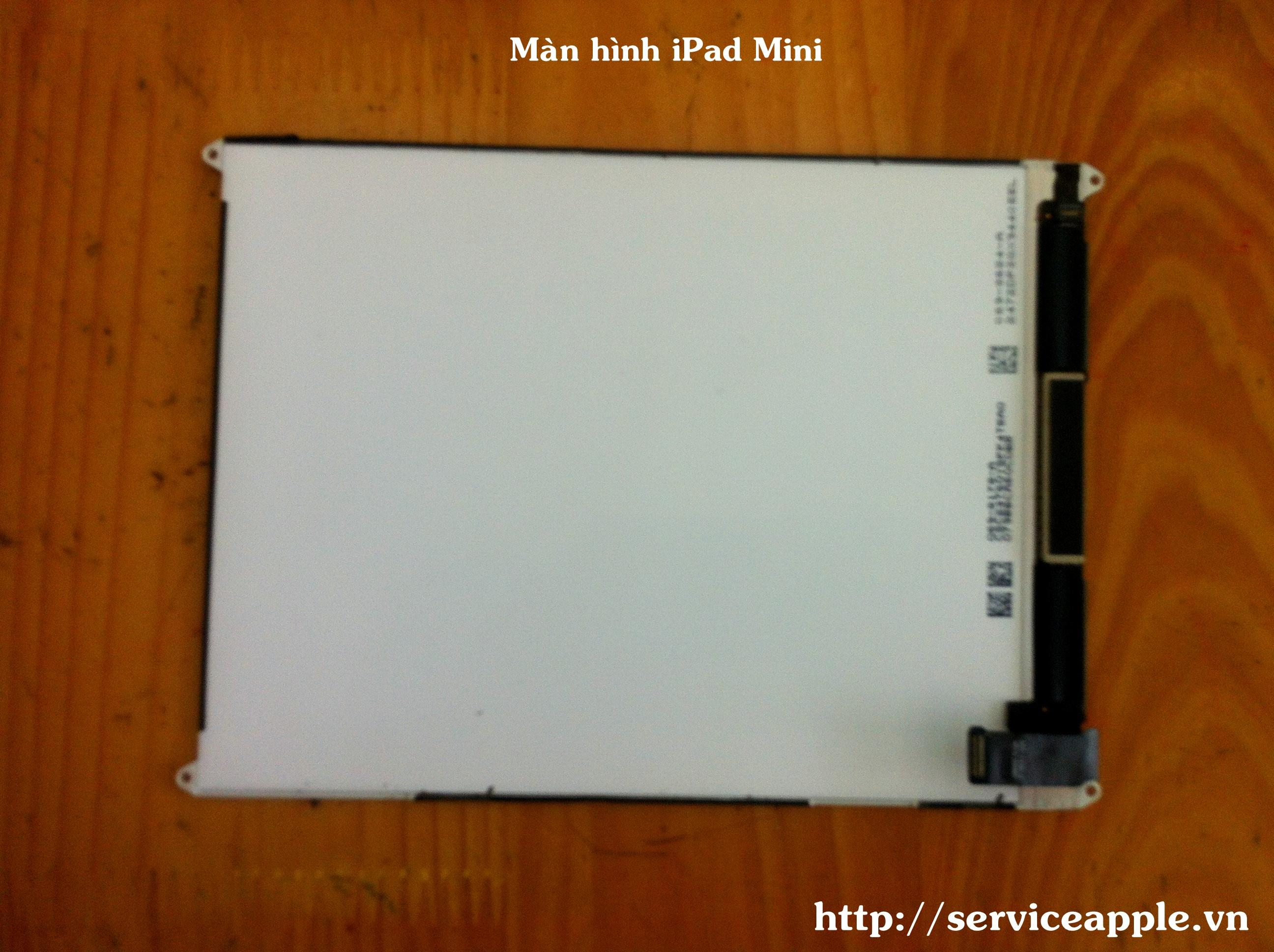 Man hinh iPad Mini.JPG